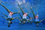 米兰体育官方网站-2026世界杯B组绝唱，瑞典绝杀印度，B费以一人之力改写历史剧本