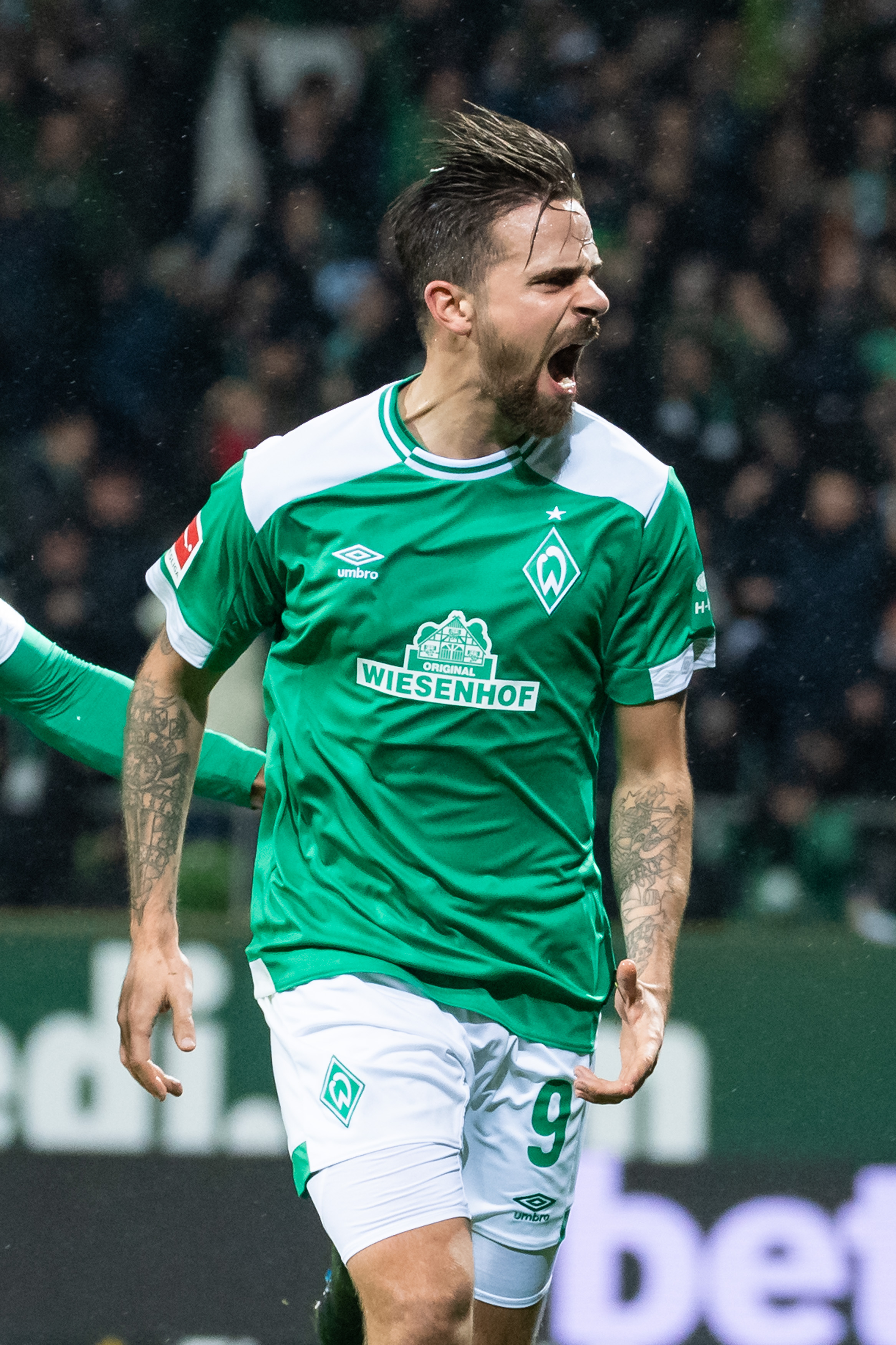 关于法兰克福主场胜云达不来梅，继续保持不败的信息